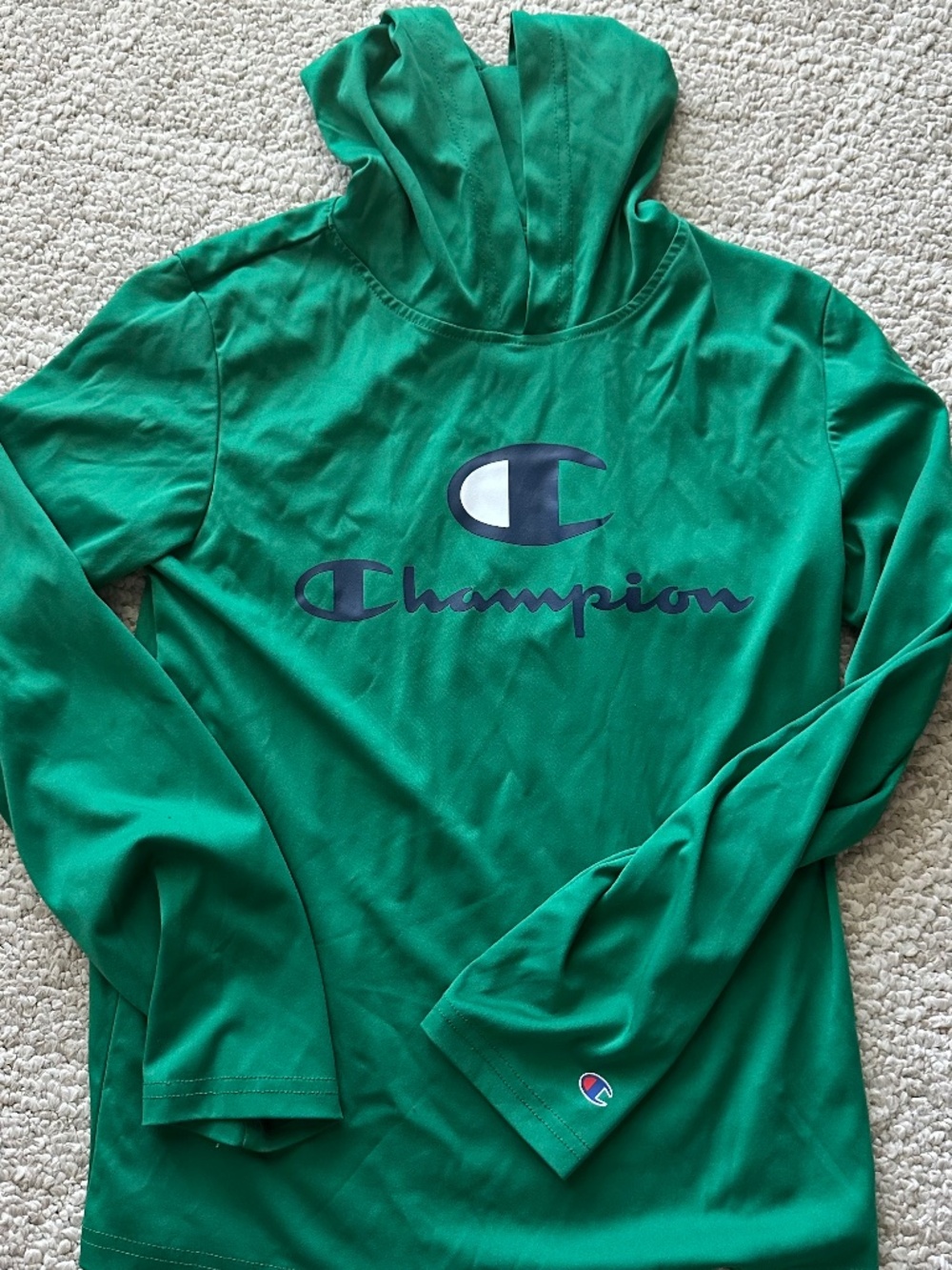 Boys Large (youth) Campion hoodie NWOT